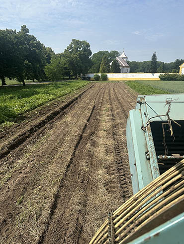 Zemědělská výroba a služby